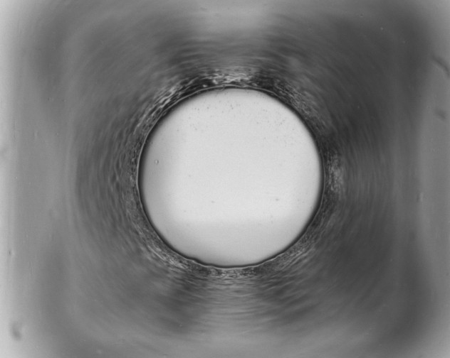 X0000102221393200808151653