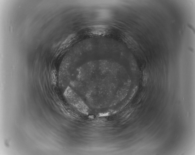 X0000102221394200808151653