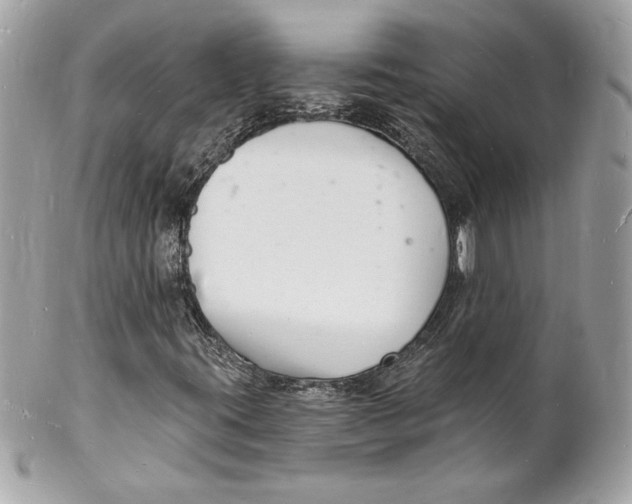 X0000102221395200808151653