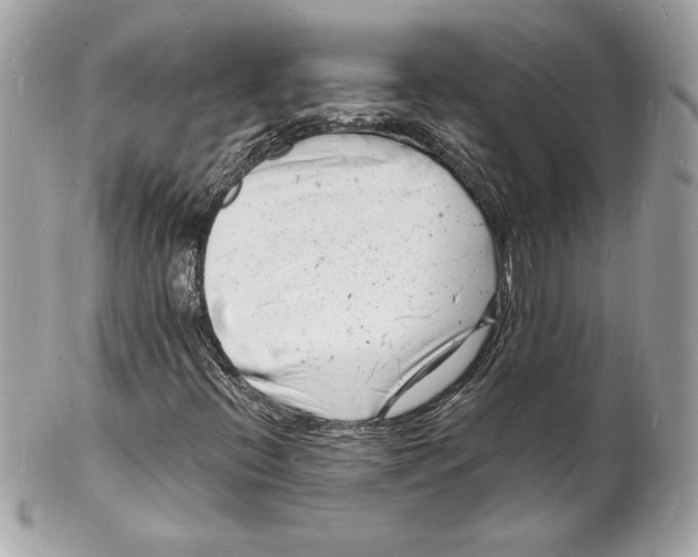 X0000102221396200808151653