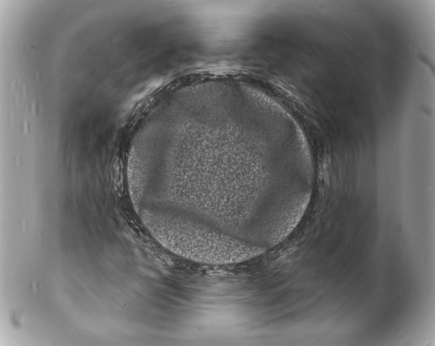 X0000102221398200808151653