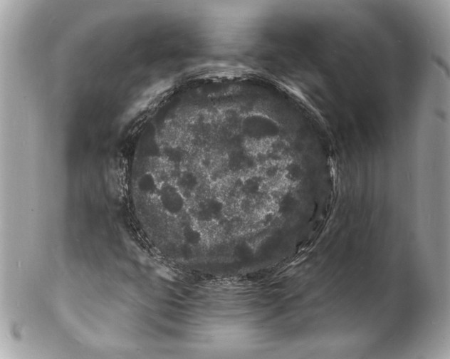 X0000102221399200808151654