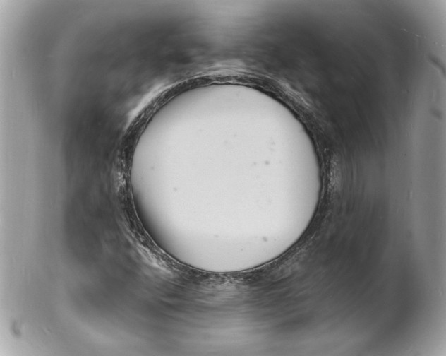 X0000102221400200808151654