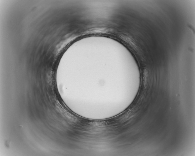 X0000102221404200808151654