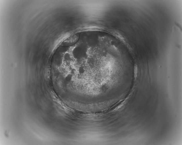 X0000102221405200808151654