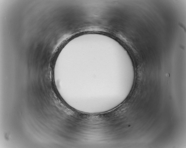 X0000102221408200808151654