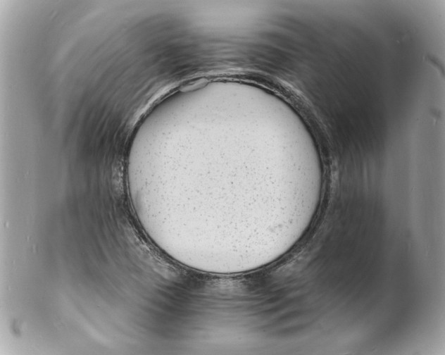 X0000102221409200808151654