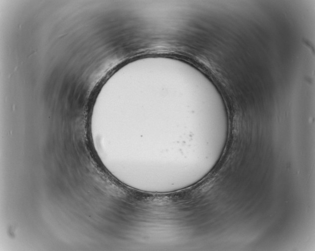 X0000102221410200808151654