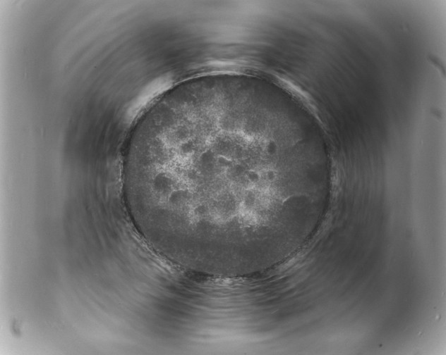 X0000102221411200808151654