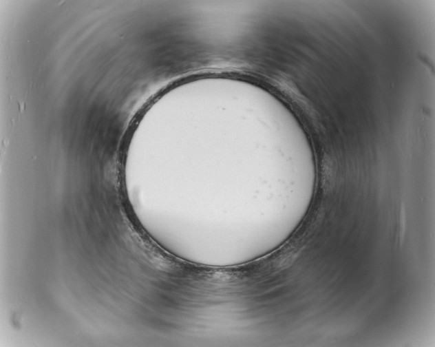 X0000102221412200808151654