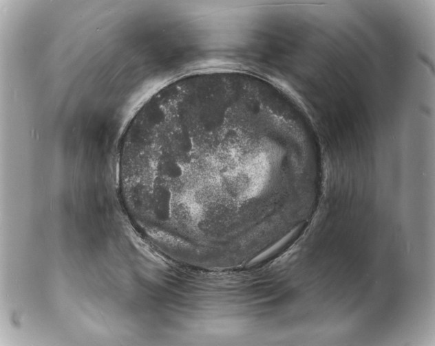 X0000102221413200808151654