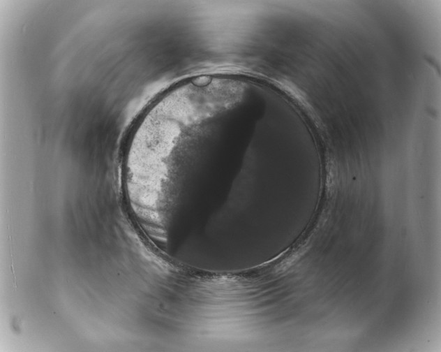 X0000102221414200808151654