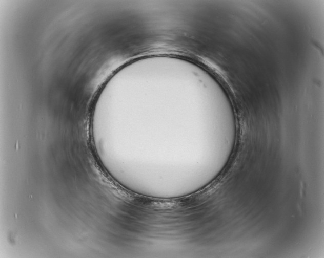 X0000102221415200808151654