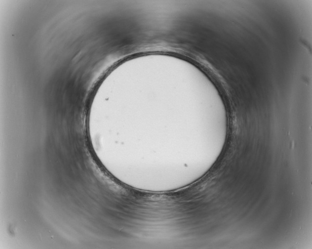 X0000102221416200808151654