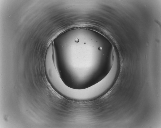 X0000102221417200808151654