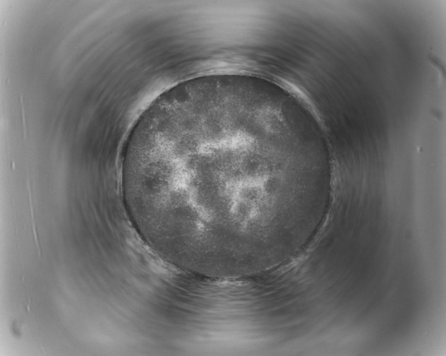 X0000102221419200808151654