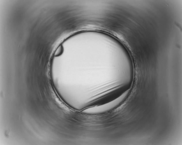 X0000102221421200808151654