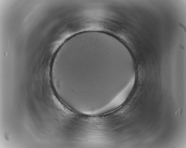 X0000102221422200808151654