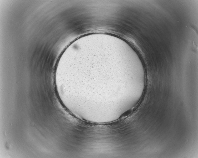 X0000102221424200808151654