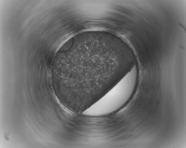 X0000102221425200808151654