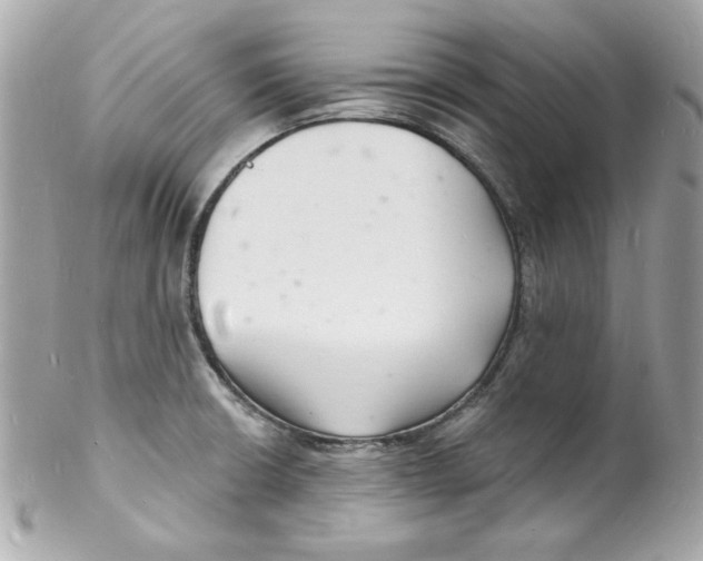 X0000102221426200808151654