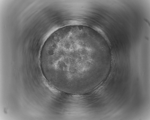 X0000102221427200808151654