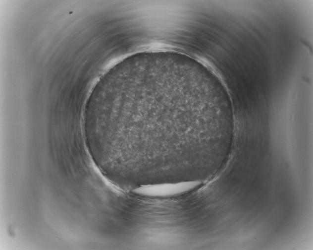 X0000102221429200808151654