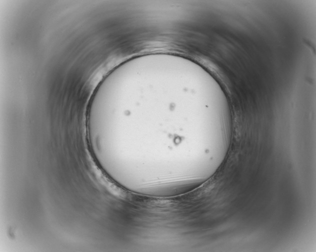 X0000102221431200808151654