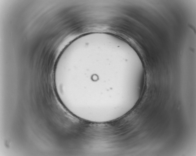 X0000102221432200808151654