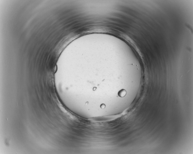 X0000102221433200808151654