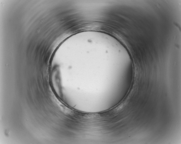 X0000102221434200808151654