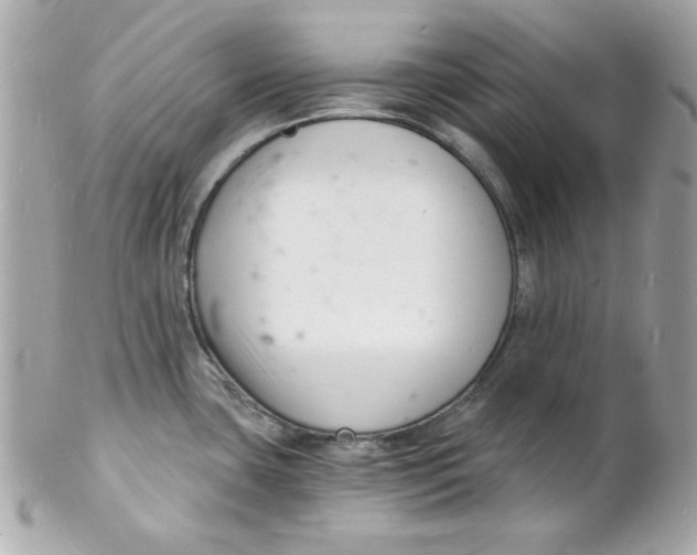 X0000102221435200808151654