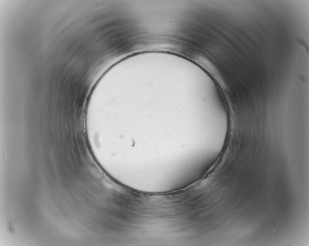 X0000102221436200808151654