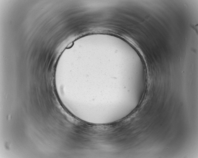 X0000102221437200808151654