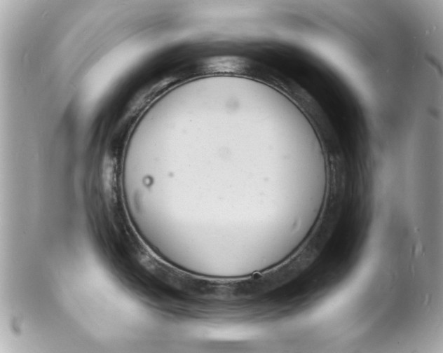 X0000102221438200808151654