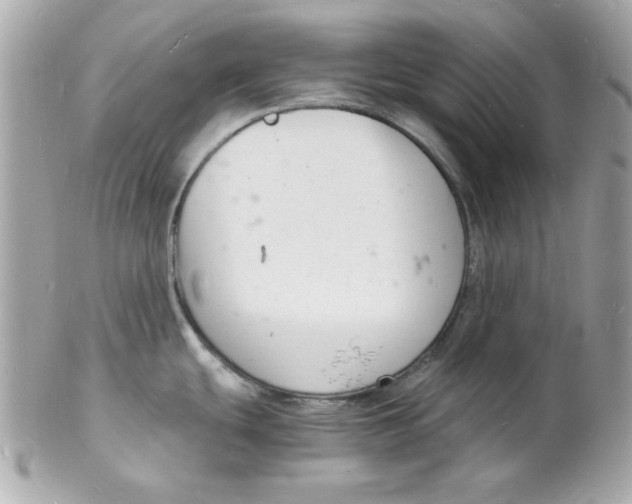 X0000102221439200808151654