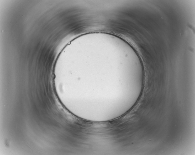 X0000102221440200808151654