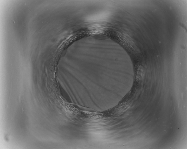 X0000102221441200808151653