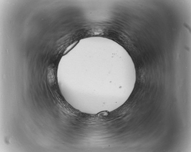 X0000102221442200808151653