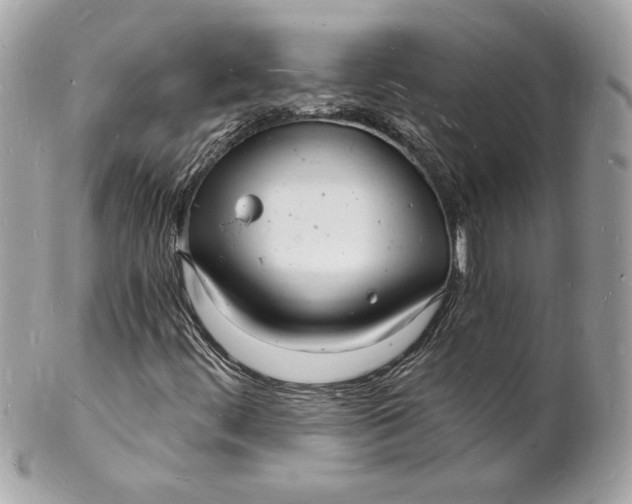 X0000102221444200808151653