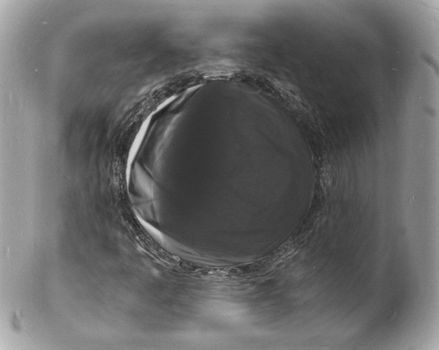 X0000102221445200808151653