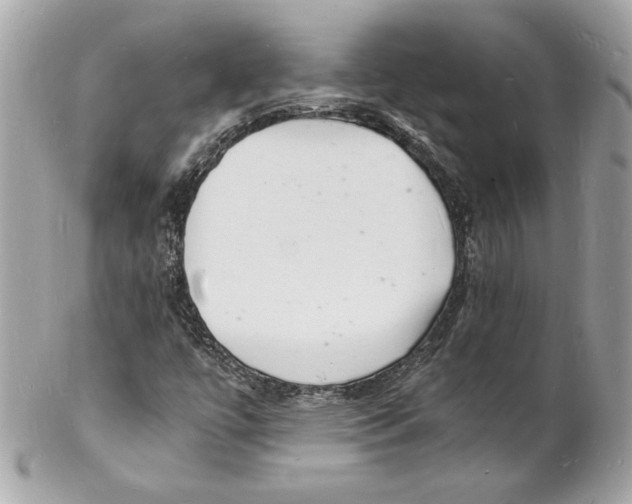 X0000102221447200808151653