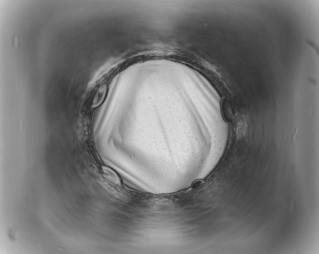 X0000102221448200808151653