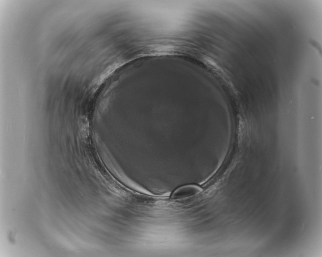 X0000102221449200808151653