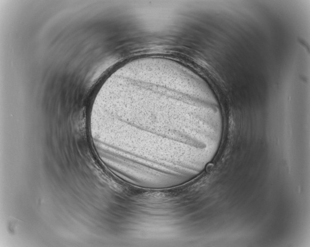 X0000102221450200808151653