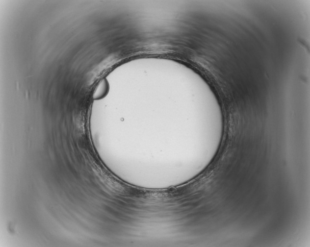 X0000102221451200808151653