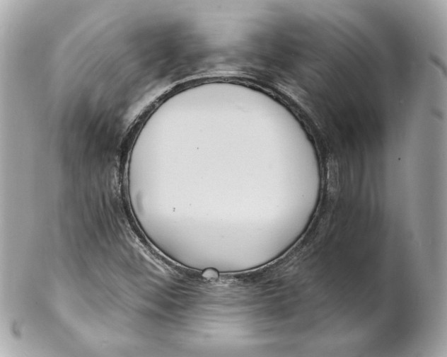 X0000102221452200808151653