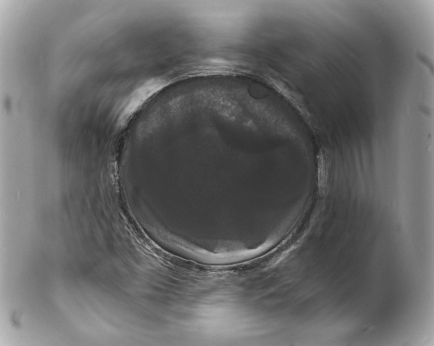 X0000102221453200808151653