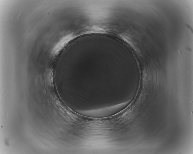 X0000102221455200808151653