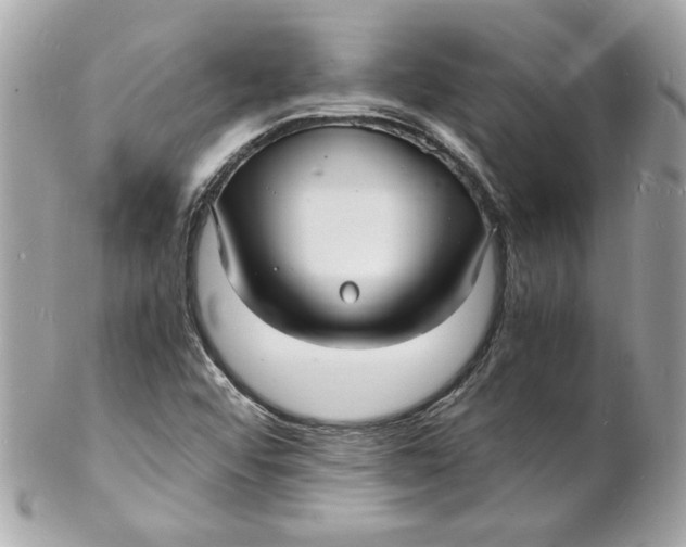 X0000102221456200808151653